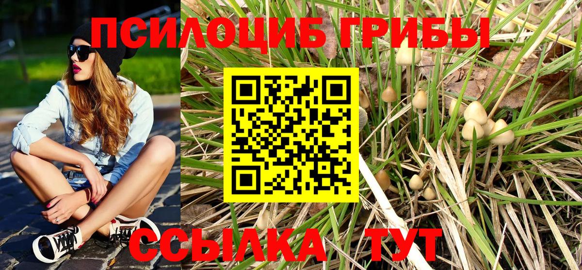 Псилоцибиновые грибы Cubensis  Псилоцибиновые грибы ЛСД  Кирово-Чепецк  Вход с VPN 